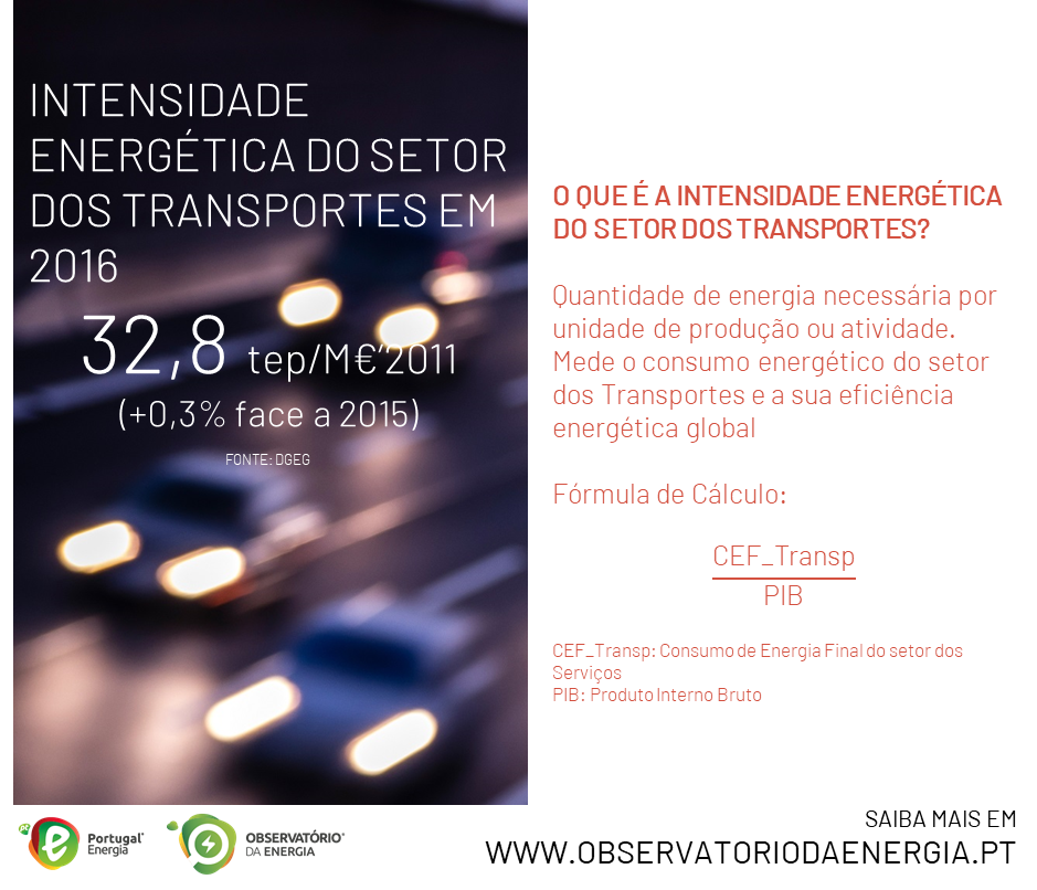 Cromo #13 - Intensidade Energética no setor dos Transportes em 2016