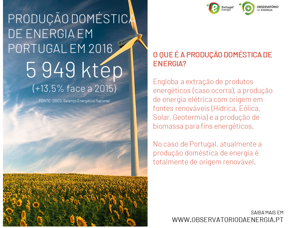 Cromo #17 - Produção Doméstica de Energia em Portugal em 2016